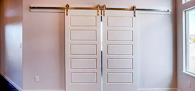 Glass Barn Door with Installation Hardware Kit Euless