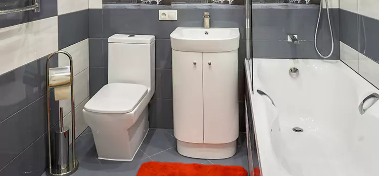 Hansgrohe Shaving Mirror Euless